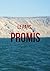 Le pays promis by Esther