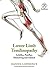 Lower Limb Tendinopathy (colour version)  by Daniel Lawrence