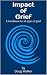 Impact of Grief by Doug Walker