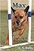 Max (Capturing the Heart of Agility Book 2)