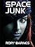 Space Junk