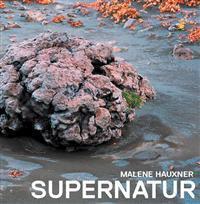 Fra naturlig natur til supernatur : europæisk landskabsarkitektur 1967-2007 set fra Danmark
