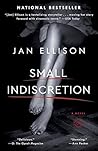 Book cover for A Small Indiscretion