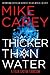 Thicker Than Water (Felix Castor, #4)