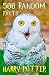 500 Random Facts about Harry Potter by Lena Shaw