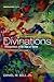 Divinations: Theopolitics in an Age of Terror (Theopolitical Visions)