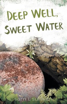 Deep Well, Sweet Water (Paperback)