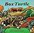 Box Turtle
