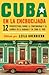 Cuba en la encrucijada: 12 perspectivas sobre la continuidad y el cambio en la Habana y en todo el país