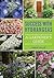 Success With Hydrangeas by Lorraine Ballato