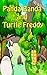 Panda Banda and Turtle Freddy by Garrett