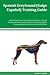 Spanish Greyhound (Galgo Es...