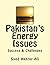 Pakistan's Energy Issues: Success and Challenges