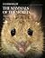 Rodents II (Handbook of the...