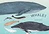 Whales: An Illust...