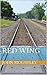 Red Wing by John McGauley Red Wing by John McGauley