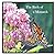 The Birth Of A Monarch: Met...