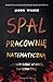 Spal pracownię matematyczną ...i sam sobie wymyśl matematykę