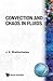 Convection & Chaos in Fluids
