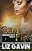 Celtic Fire (Highland Celts #1)
