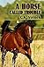 A Horse Called Trouble by C.K. Volnek