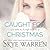 Caught for Christmas (Stripped, #3.5)