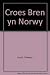 Croes bren yn Norwy