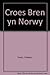 Croes bren yn Norwy by John Selwyn Lloyd