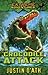 Crocodile Attack by Justin D'Ath