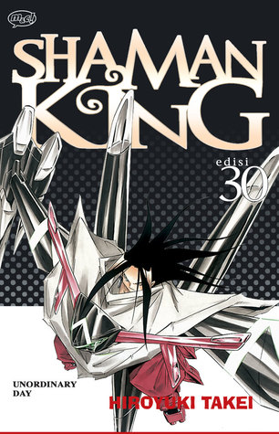Shaman King Vol. 30: Unordinary Day