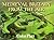 Medieval Britain From The Air by Colin Platt