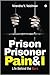 Prison Prisoner Pain & I by Virendra V Vaishnav