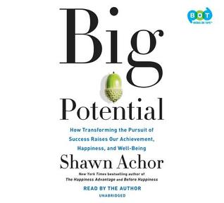 Big Potential: Five Strategies to Reach New Heights of Creativity, Productivity, Performance, and Success