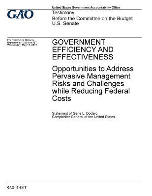 Government Efficiency and Effectiveness: Opportunities to Address Pervasive Management Risks and Challenges While Reducing Federal Costs