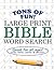 Large Print Bible Word Sear...