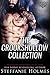 The Crookshollow Collection (Crookshollow Gothic Romance)
