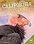California Condor (Back from Near Extinction)