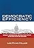 Democratic Efficiency: Inequality, Representation, and Public Policy Outputs in the United States and Worldwide