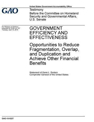 Government Efficiency and Effectiveness: Opportunities to Reduce Fragmentation, Overlap, and Duplication and Achieve Other Financial Benefits