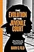 The Evolution of the Juvenile Court: Race, Politics, and the Criminalizing of Juvenile Justice (Youth, Crime, and Justice Book 4)