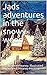 Jads adventures in the snowy wood. by Suzanne Meaney