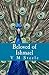 Beloved of Ishmael by V.M. Steele