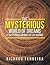 The Mysterious World of Dreams by Ricardo Ferreira