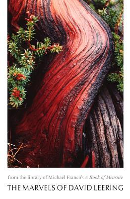 from the Library of Michael Franco's A Book of Measure: The Marvels of David Leering