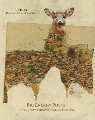 Big Energy Poets: Ecopoetry Thinks Climate Change (Paperback)