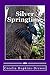 Silver Springtime (The Silver Springs University Series Book 1)