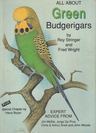 All about Green Budgerigars (All About Budgerigars, #1)