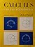 Calculus - Calculo Infinitesimal 2: Edicion (Spanish Edition)