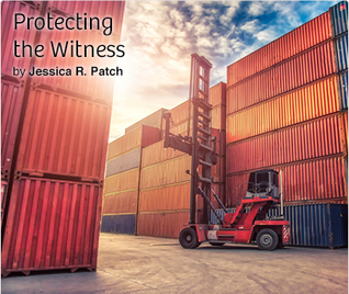 Protecting the Witness (ebook)