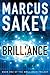 Brilliance (The Brilliance Trilogy Book 1)